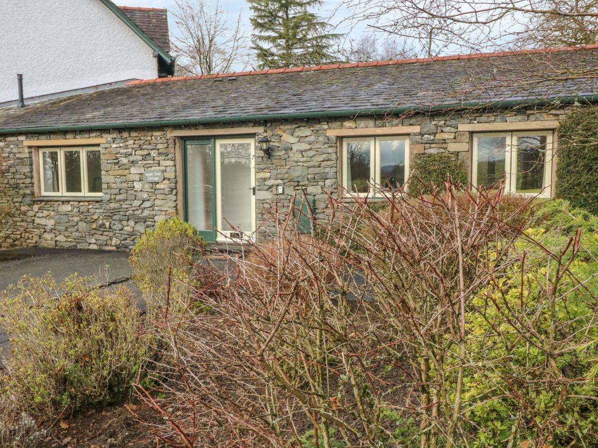 Apple Tree Cottage 温德米尔 外观 照片
